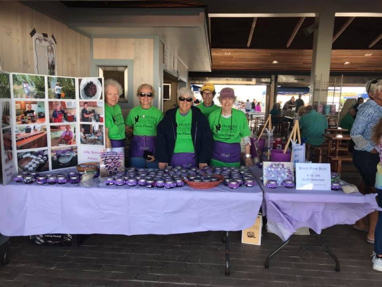 Beach Plum Festival Friends of Island Beach State Park