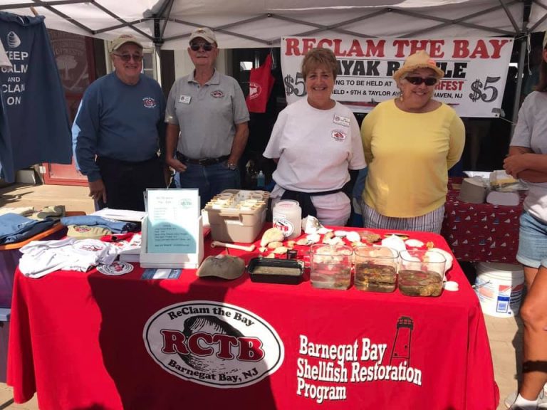 Beach Plum Festival Friends of Island Beach State Park