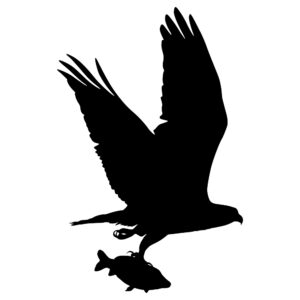 OSPREY-01