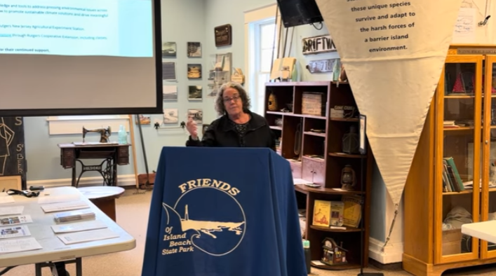 screenshot 2026 03 05 204818