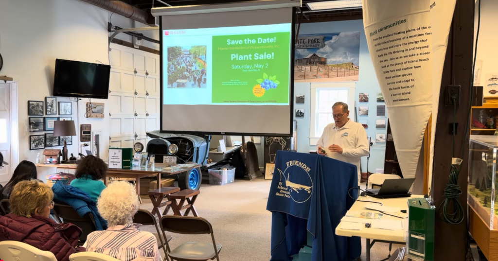 screenshot 2026 03 16 153844